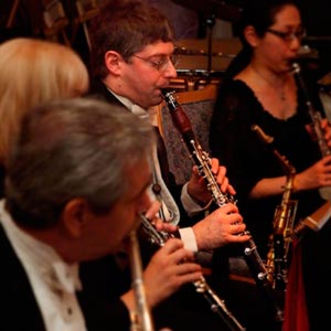 2010 Viennese Ball woodwind section